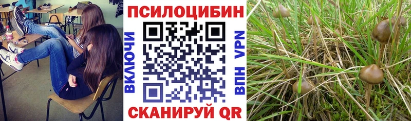 Псилоцибиновые грибы GOLDEN TEACHER Обнинск