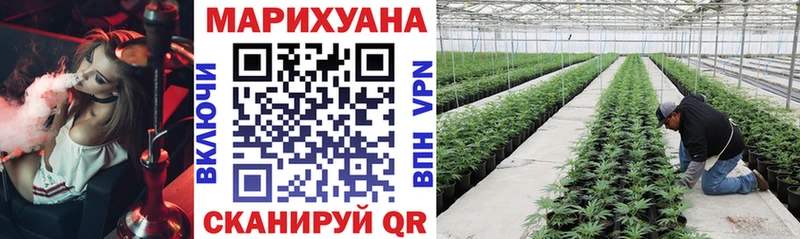 купить наркотики цена  Обнинск  МАРИХУАНА Ganja 